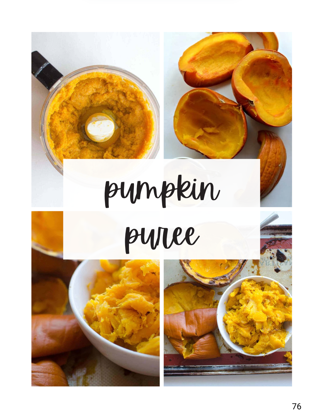 Pumpkin Perfection (digital)